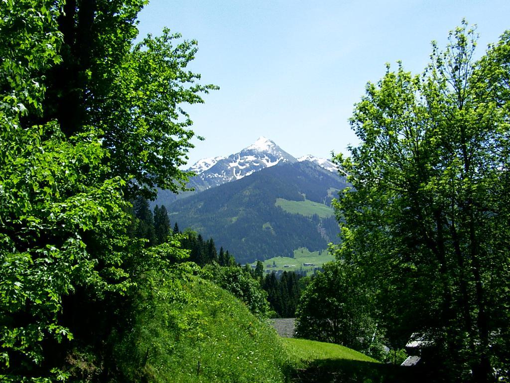 Ferienwohnungen Unterfeld Alpbach Esterno foto