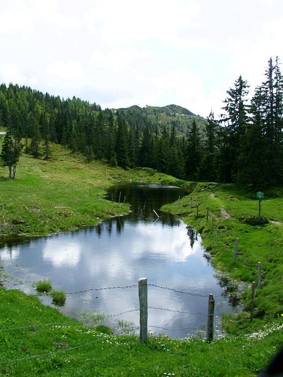 Ferienwohnungen Unterfeld Alpbach Esterno foto
