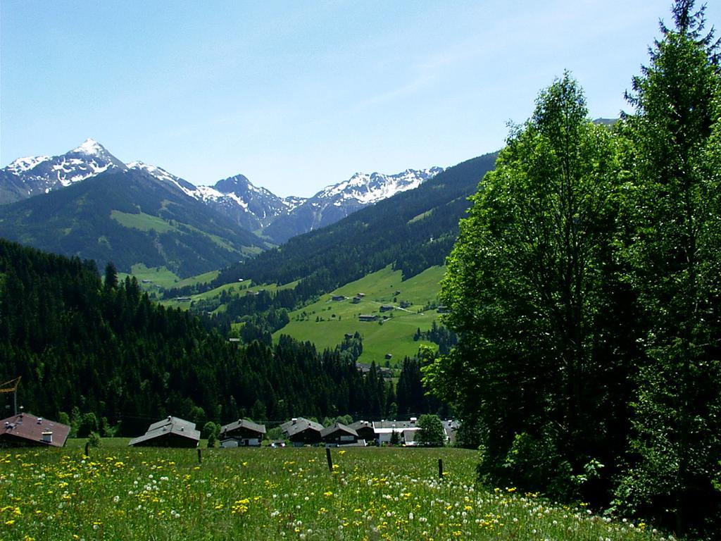 Ferienwohnungen Unterfeld Alpbach Esterno foto